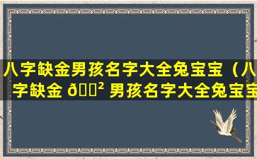 八字缺金男孩名字大全兔宝宝（八字缺金 🌲 男孩名字大全兔宝宝怎么取）